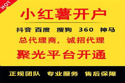 信息流广告推广成功案例深度剖析